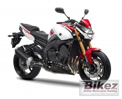 2012 Yamaha FZ8 WGP 50th Anniversary photo